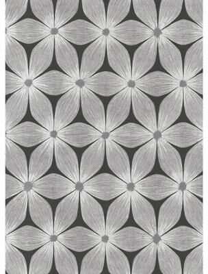 Candice Olson Everlasting Black & Silver Wallpaper