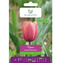 Tulipan Design Impression, 5 Stück
