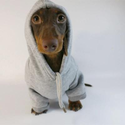 Inspired Finds Cute Sausage Dog Hoodie For Small Dogs Warm Dachshund Pullover Sweater grey xl
