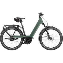 Riese & Müller Nevo5 vario T 45 cm moss