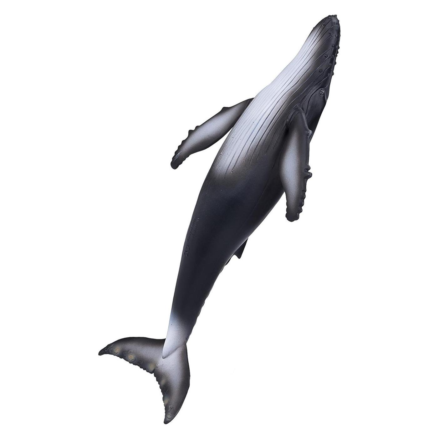 Animal Planet Buckelwal (MJ-387119)