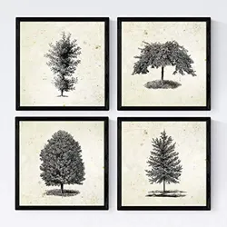 POSTER Set mit 4 Blättern der Bäume Zierbäume Jahrgang Hintergrund 20x20cm Schwarzer Rahmen