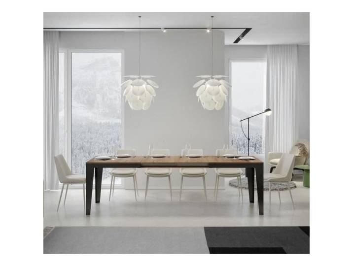 Table extensible - FLAME - Evolution 160 - Chêne naturel - Marron - 10 places