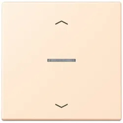 Jung Wippe mit Lichtleiter LC 101 KO5P 238