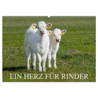 Ein Herz für Rinder (Wandkalender 2027 DIN A2 quer), CALVENDO Monatskalender