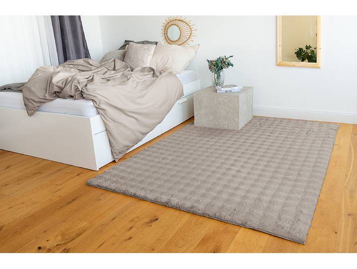 Hochflorteppich Hailey 125 200 x 290cm Beige/Beige