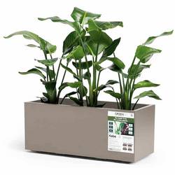 euro3plast Greener KEBE 3154.G9 Pflanzkasten Kunststoff Taupe
