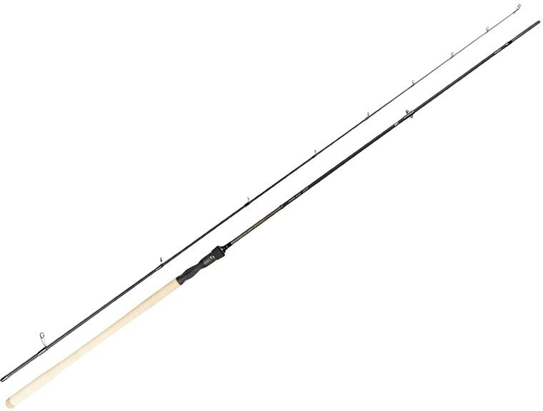 Daiwa Luvias Spin-10'0"-9-34 Gr.