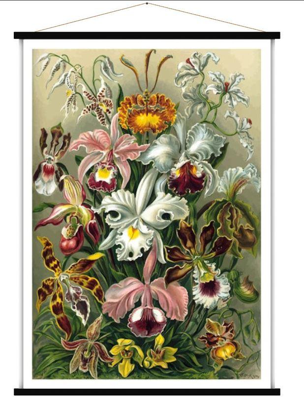Carte murale - Orchidées (style vintage) - 84 x 113 cm   Blue Shaker