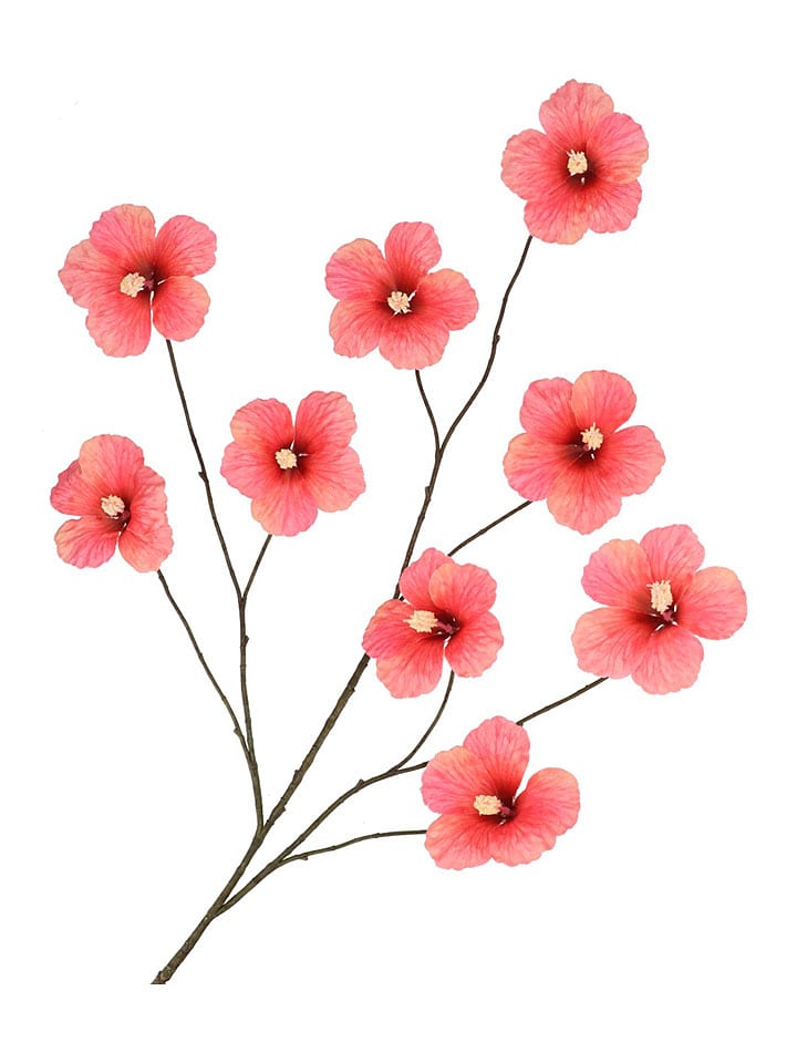 daan kromhout Dekozweig "Hibiskus" in Rot - (H)125 cm - onesize