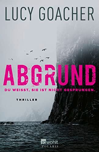 Lucy Goacher - Abgrund: Du weißt, sie ist nicht gesprungen. - Preis vom 12.10.2026 11:37:12 h