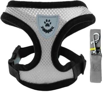 Uplifted Finds Ultra Breathable Air Mesh Harness & Leash Set grey s