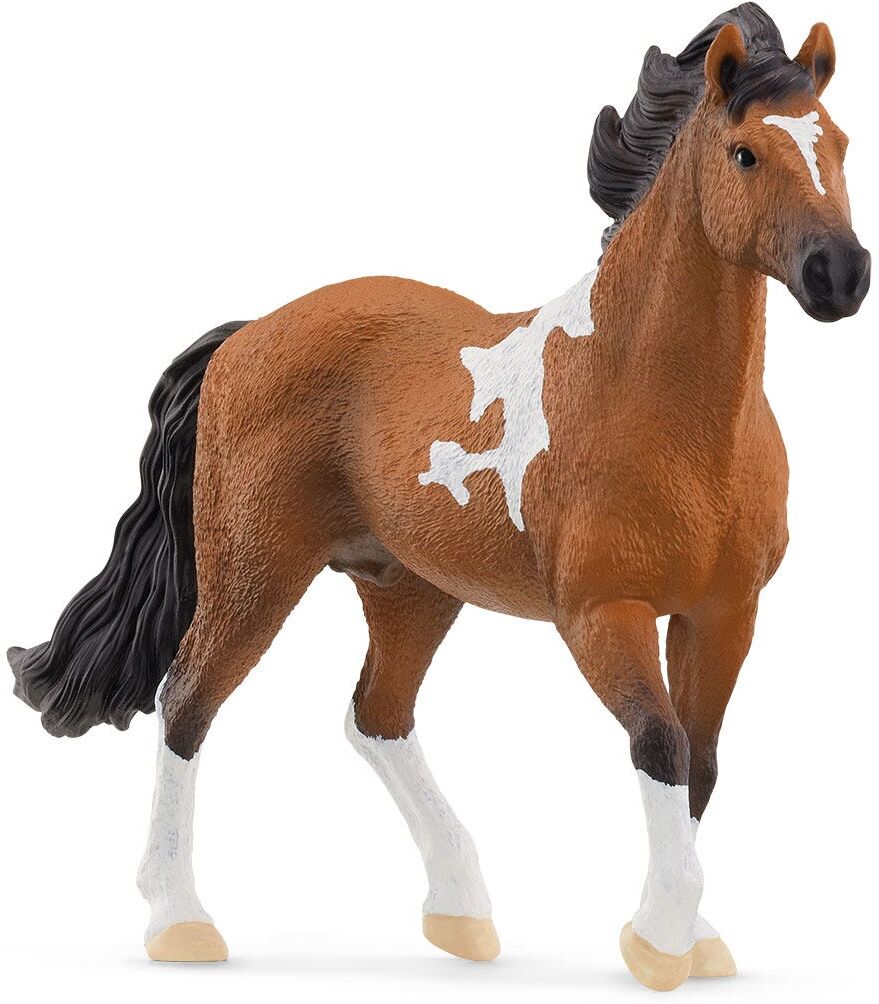 Schleich HORSE CLUB Mangalarga Marchador Stallion, 17.5 cm / 11.3 cm / 4.3 cm, Toy Horse for Kids