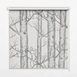 INNENROLLO - Fensterrollo - Rollo - 150x140 cm - Koffer