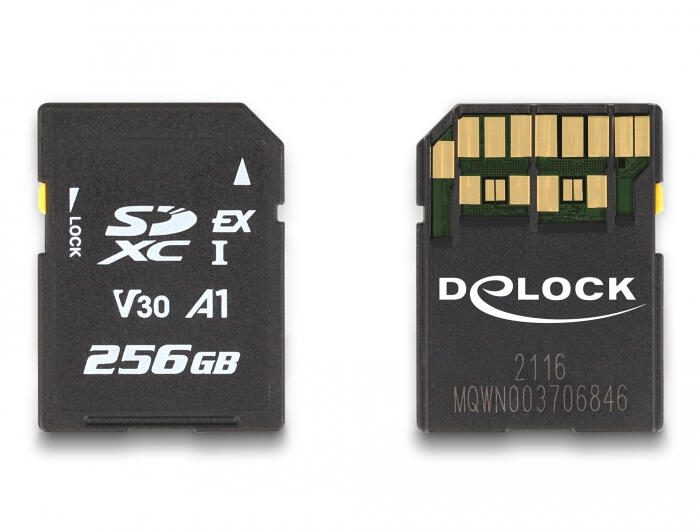 DeLOCK SD Express Speicherkarte 256 GB 54091