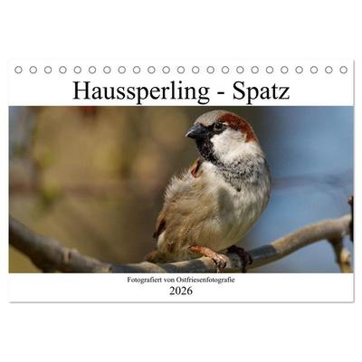 Haussperling - Spatz fotografiert von Ostfriesenfotografie (Tischkalender 2026 DIN A5 quer), CALVENDO Monatskalender