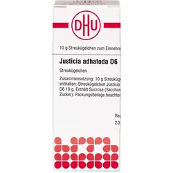 Justicia Adhat D 6 10 G