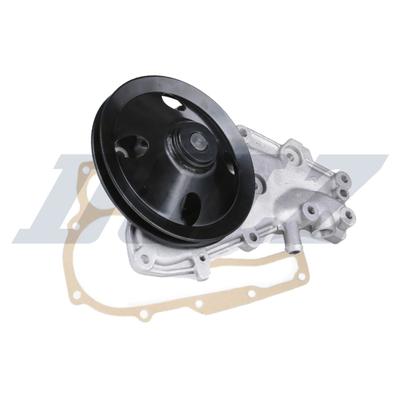 DOLZ Wasserpumpe r129 für RENAULT
