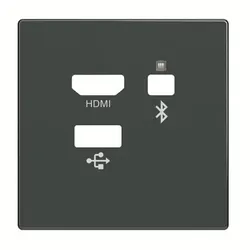 Busch-Jaeger Zentralscheibe 8256-81 2CKA008200A0227