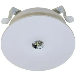 RP-Technik LED-Sicherheitsleuchte ILEL423SC