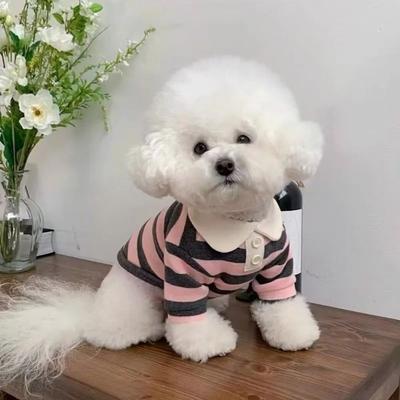 Inspired Living CoolBreeze Striped Dog Shirt With Polo CollarCoolBreeze Striped Dog Shirt With Polo Collar pink l