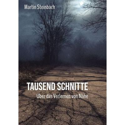 Tausend Schnitte, Gebundene Ausgabe von Martin Steinbach, Tredition, 978-3-384-79275-4