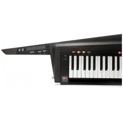Korg RK-100S 2 BLACK, Synthesizer, Schwarz