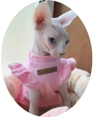 Happy Pet Pantry Summer Luxury Sphynx Cat Clothes: Stylish Attire M 1