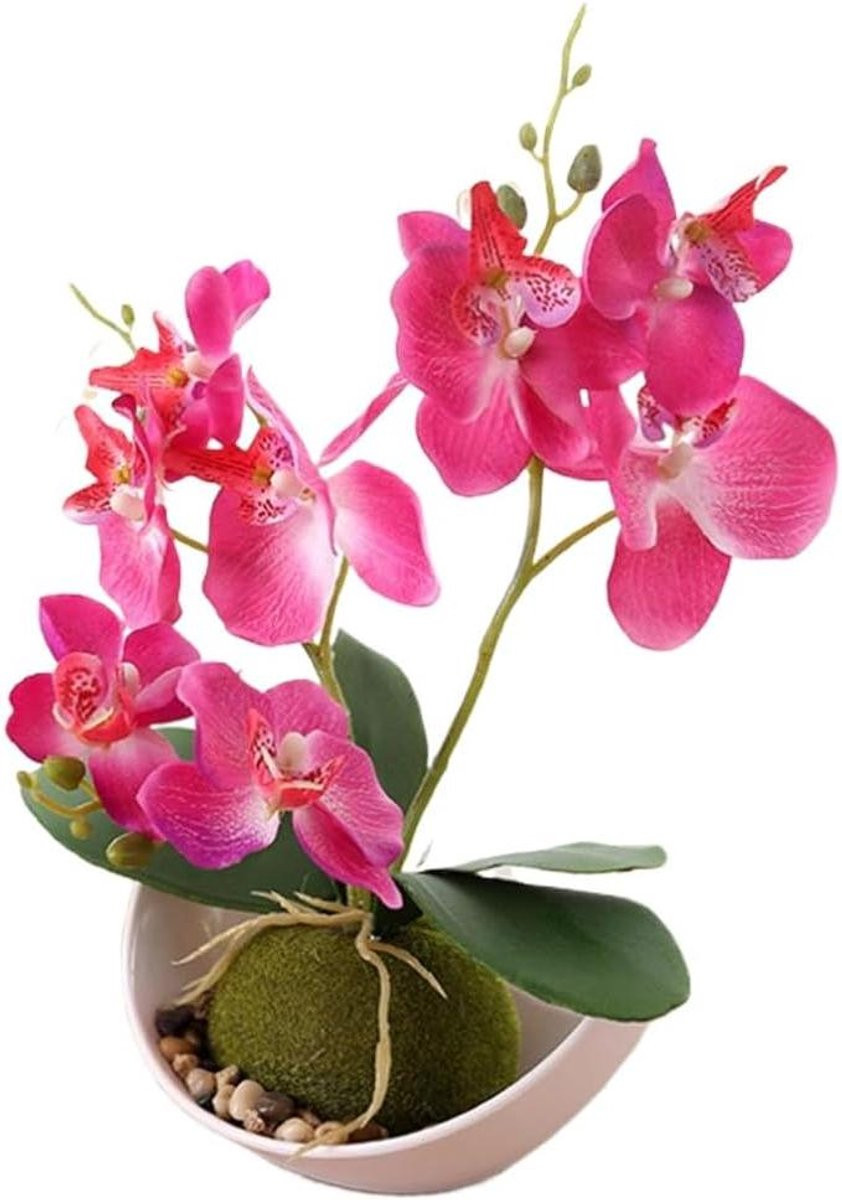 Kunstorchidee met pot - Real Touch nepbloemen - Rozerood - Hoogte: 27 cm