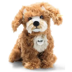Steiff - Curlie Cockapoo, 24 cm
