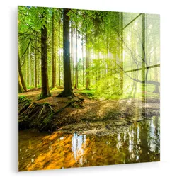 ACRYLGLASBILD Wald - Landschaft - Wasser - Bäume - Sonne - Grün - Natur 50x50 cm