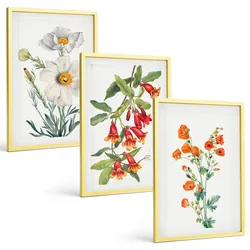 BILDER SET 3er Set - 40x60 cm Goldrahmen - Retro-Blumenarrangements