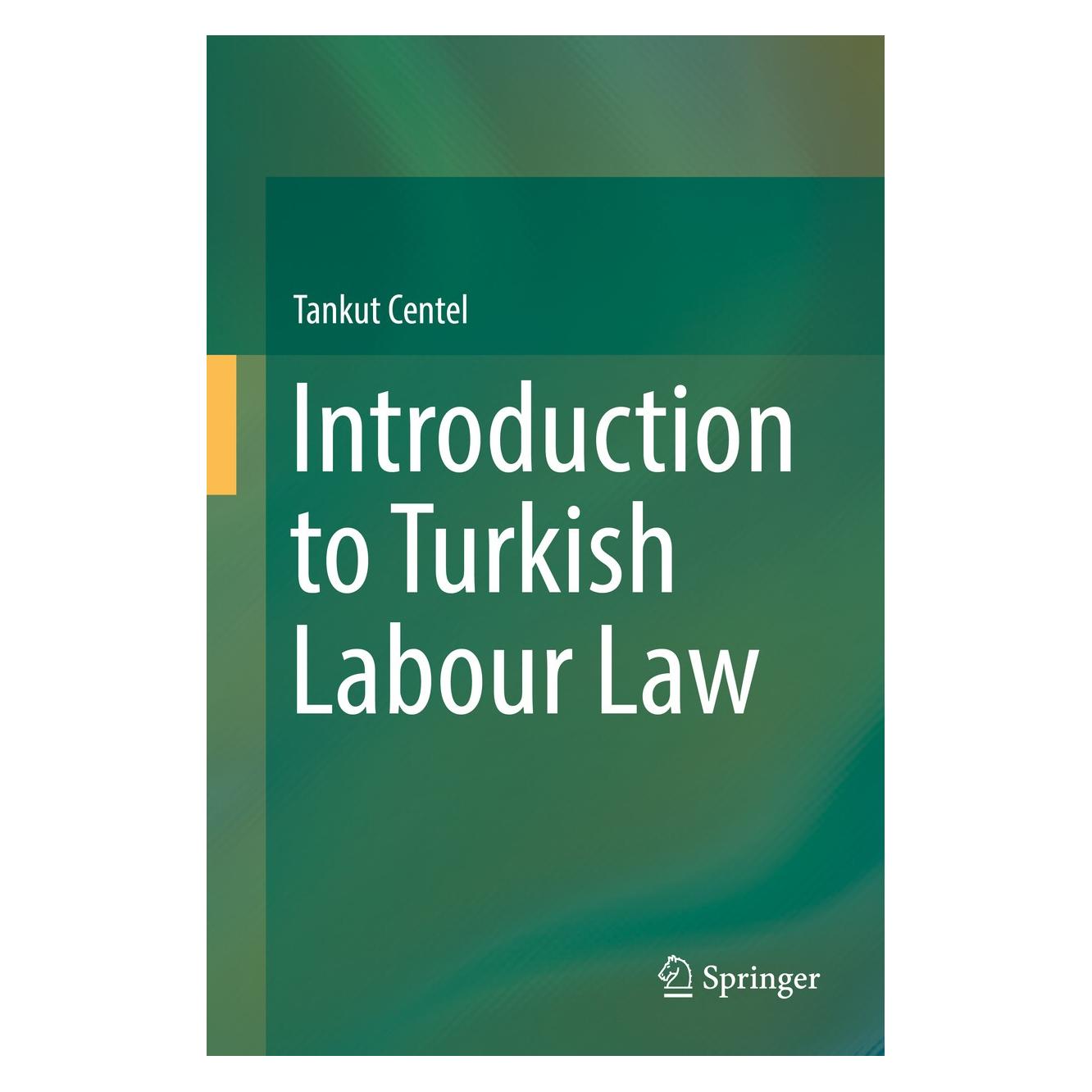 Springer Centel:Introduction to Turkish Labour L (Englisch, Hardcover, Tankut Centel) (9783319655710)
