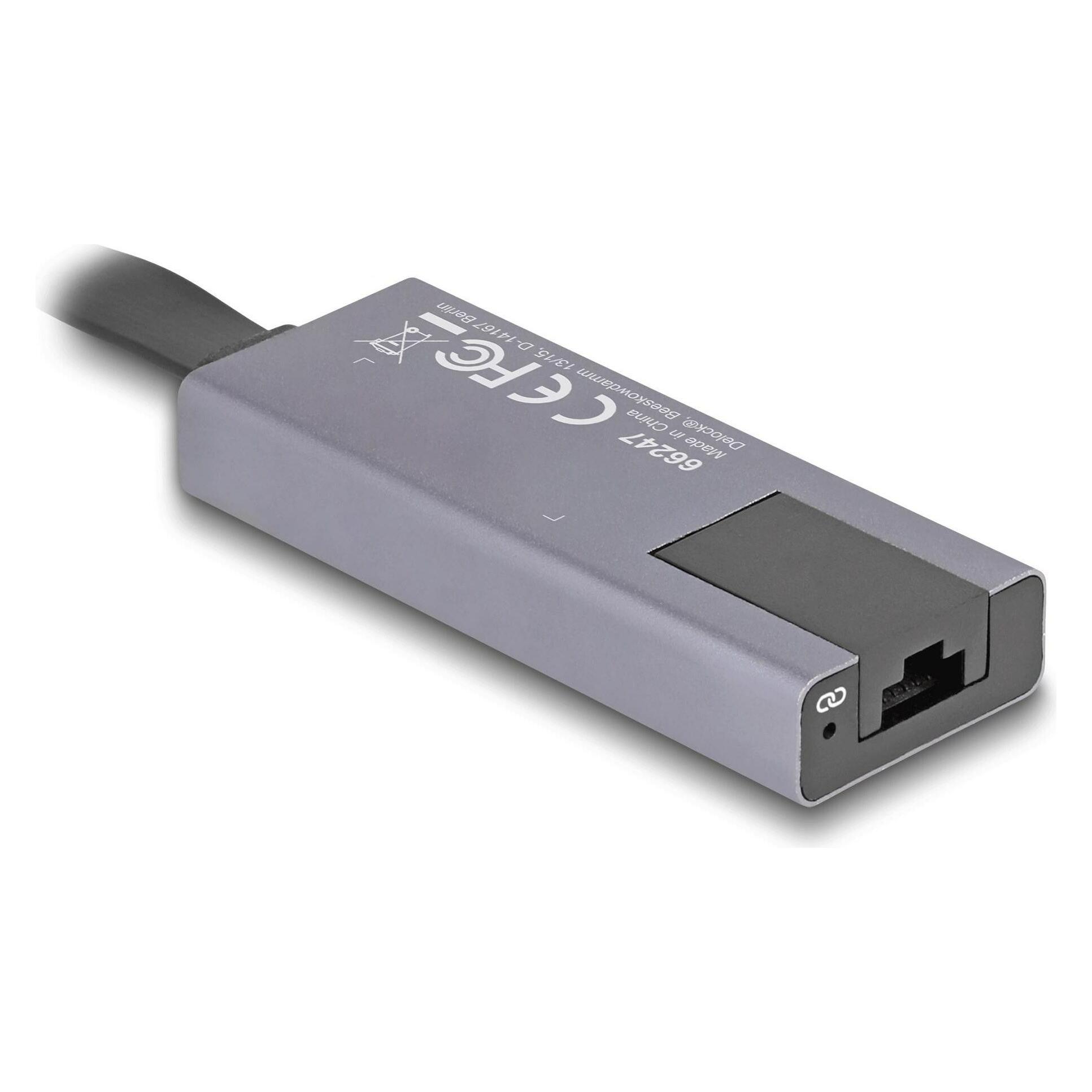 Delock USB Typ-A Adapter zu 2,5 Gigabit LAN slim (USB, RJ45 2.5 Gigabit Ethernet (1x)) (66247)