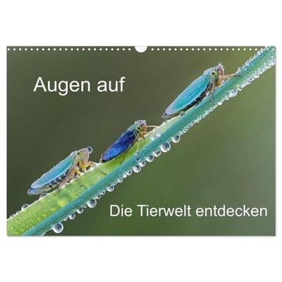 Augen auf - versteckte Tierwelt (Wandkalender 2027 DIN A3 quer), CALVENDO Monatskalender
