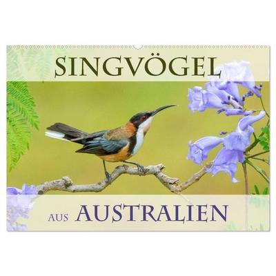 Singvögel aus Australien (Wandkalender 2027 DIN A2 quer), CALVENDO Monatskalender