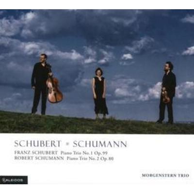 Schubert & Schumann vol. 2 - Morgenstern Trio, CD