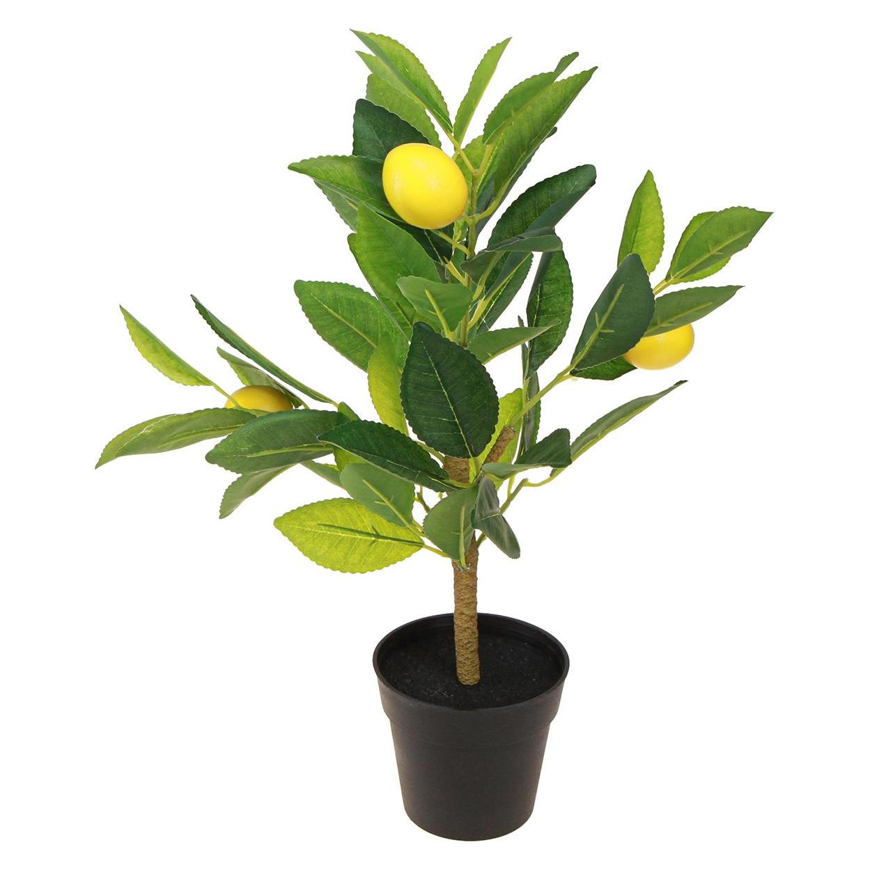 Viana Künstlicher Zitronenbaum mit realistischen Früchten im stabilen Topf (40 cm) (833538)