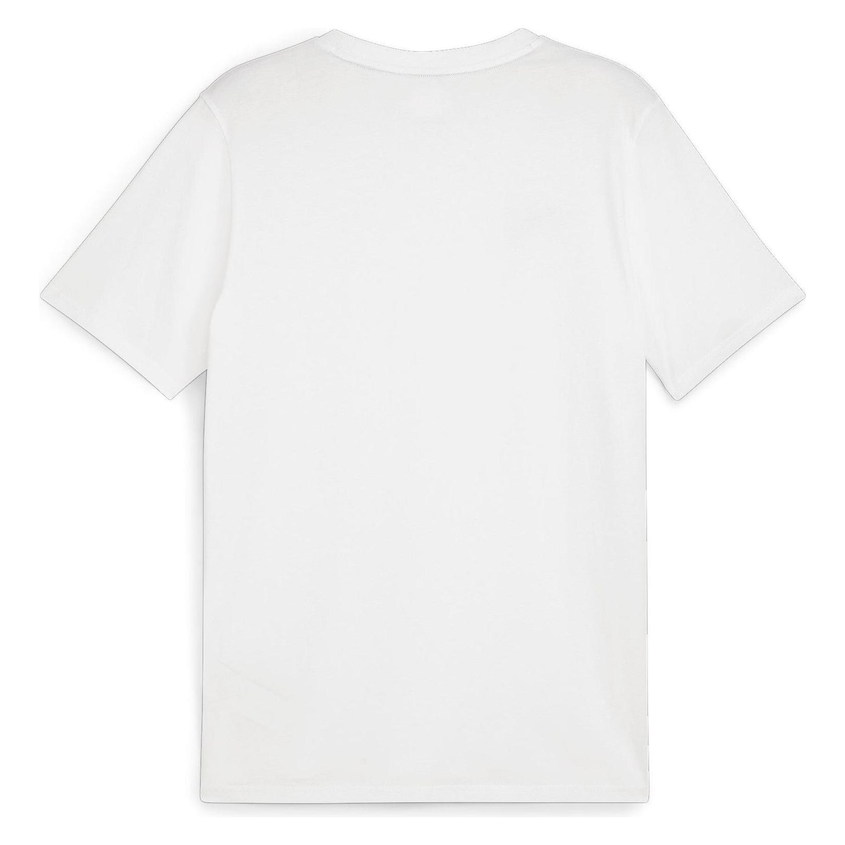 Puma teamGOAL Casuals Tee (3XL) (658615_04)