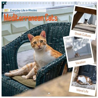 Mediterranean Cats (Wall Calendar 2027 12 × 12 Inch) CALVENDO 12 Month Wall Calendar