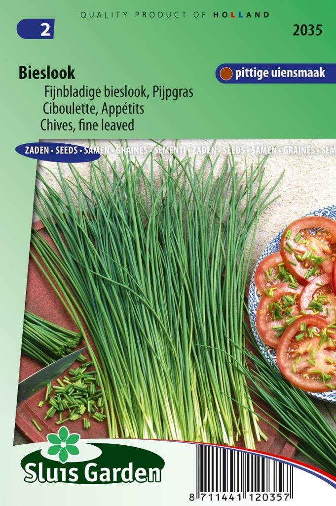 Sluis Garden Bieslook fijnbladig (Allium schoenoprasum) zaden