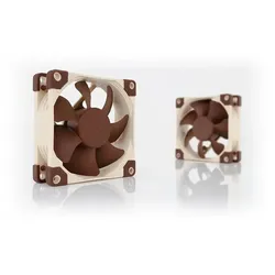 NOCTUA NF-A8 ULN Lüfter - 80mm