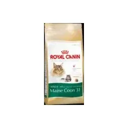 Royal Canin Main Coon 31 Adult 4kg