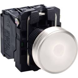 Schneider Electric XB5AVB1 Leuchtmelder beleuchtbar 24 V DC/AC 1 St. Piece