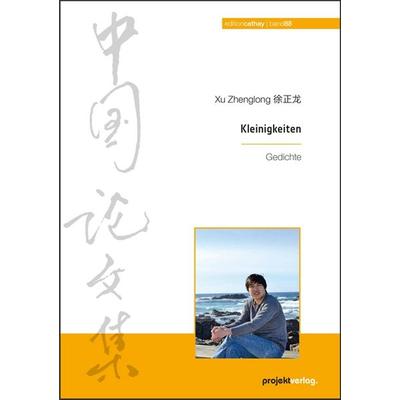 Kleinigkeiten, Taschenbuch von Xu Zhenglong,Isabel Friemann, Projekt, 978-3-89733-637-7