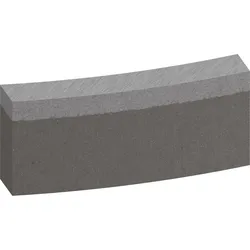 Bosch PRO Segmente für Diamantbohrkrone Standard for Concrete - 2608601755