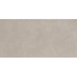 Imola Ceramica Retina Cenere 60x120 cm Bodenfliese / Wandfliese Matt Eben Naturale
