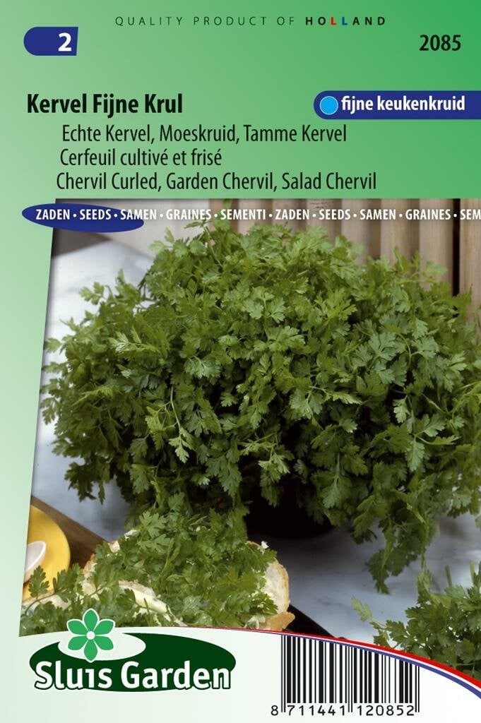 Sluis Garden Kervel zaden Fijne Krul