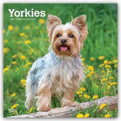 Yorkshire Terriers – Yorkshire Terrier – Yorkies 2027 – 16-Monatskalender