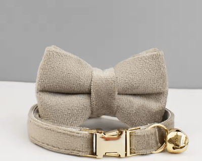 Inspire Picks Personalized Adjustable Cat Collar With Bowknot Custom Engraved Pet Collar bow Tie Collar12
